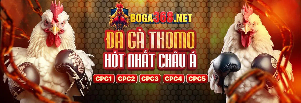 Đấu Gà Trực Tuyến 88dubai